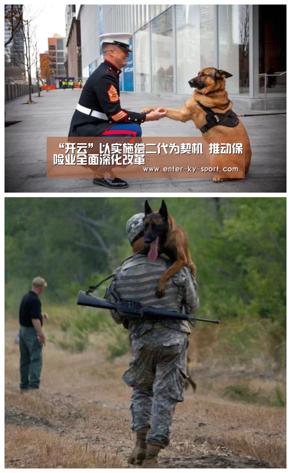 开云体育