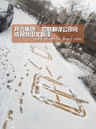 开云集团-
世联翻译公司完成视频中文翻译(图3)