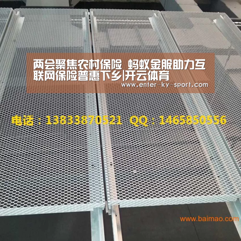 两会聚焦农村保险 蚂蚁金服助力互联网保险普惠下乡|开云体育(图2) 开云体育官网