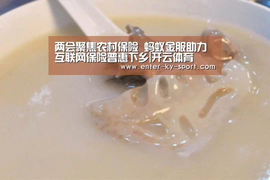 两会聚焦农村保险 蚂蚁金服助力互联网保险普惠下乡|开云体育(图1) 开云体育官网