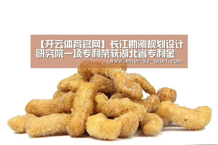 【开云体育官网】长江勘测规划设计研究院一项专利荣获湖北省专利金奖(图2) 开云体育官网